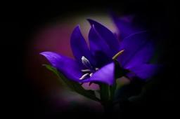 Dora占星2025年7月水瓶座運(yùn)勢(shì)